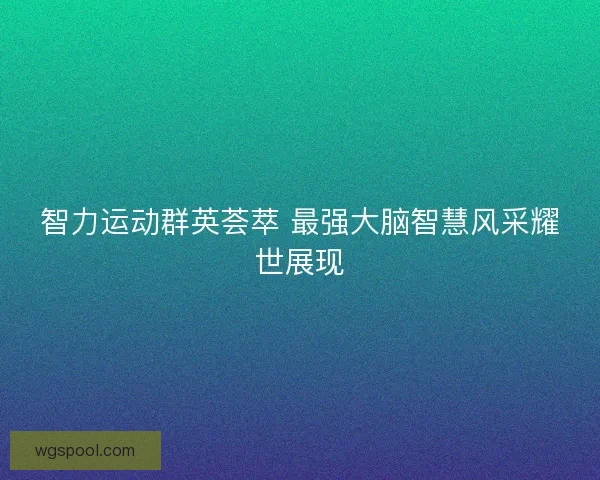 智力运动群英荟萃 最强大脑智慧风采耀世展现